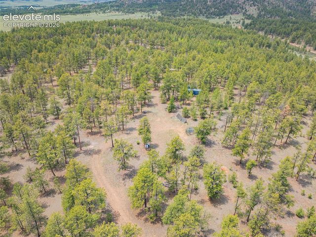 4250 Doe Valley Road, Guffey, CO 80820