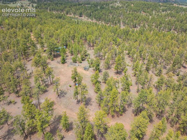 4250 Doe Valley Road, Guffey, CO 80820
