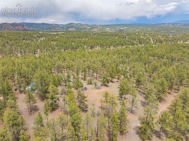 4250 Doe Valley Road, Guffey, CO 80820