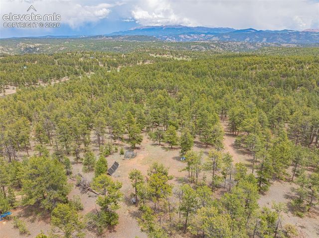 4250 Doe Valley Road, Guffey, CO 80820