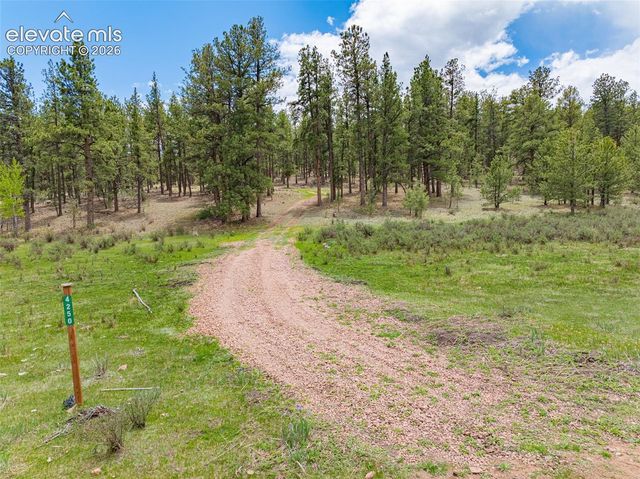 4250 Doe Valley Road, Guffey, CO 80820