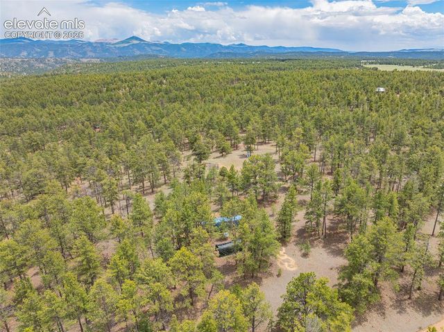 4250 Doe Valley Road, Guffey, CO 80820