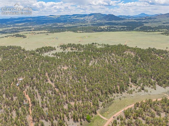 4250 Doe Valley Road, Guffey, CO 80820