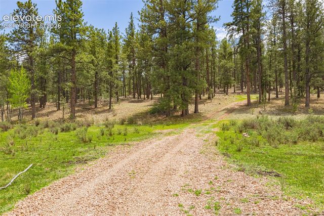 4250 Doe Valley Road, Guffey, CO 80820