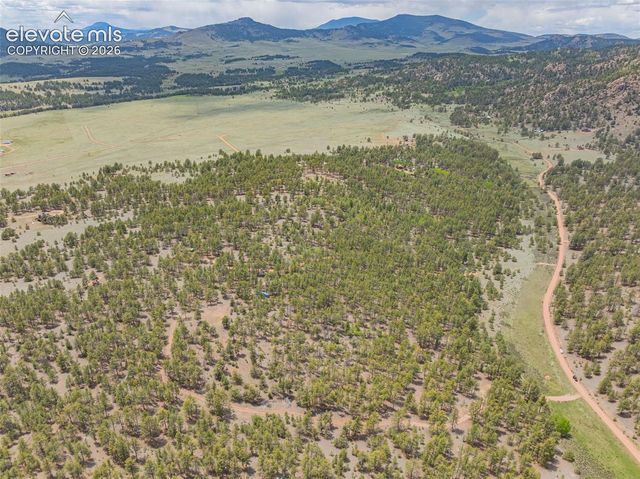 4250 Doe Valley Road, Guffey, CO 80820