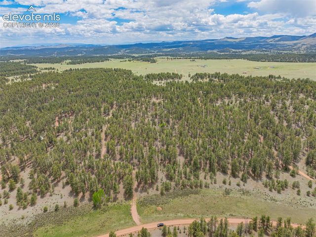 4250 Doe Valley Road, Guffey, CO 80820
