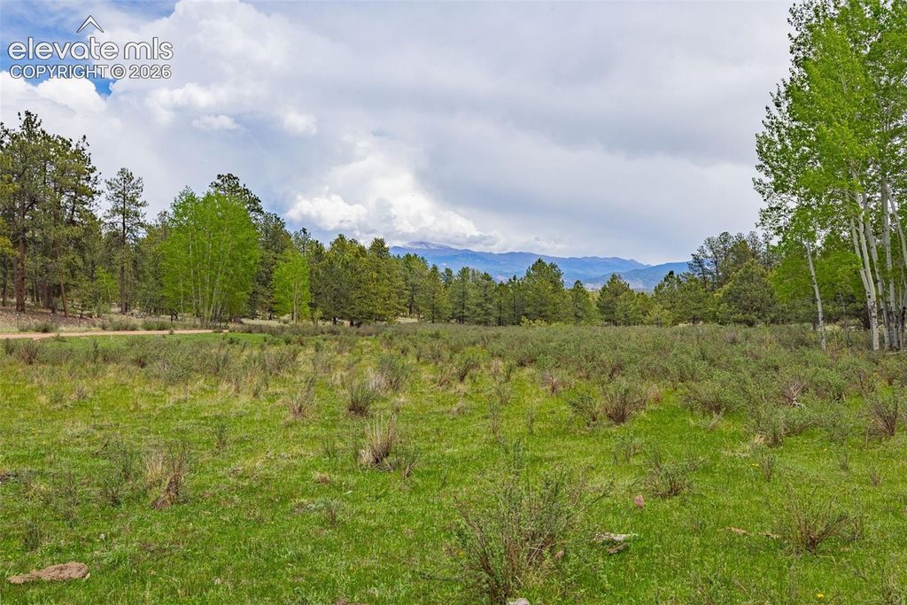 4250 Doe Valley Road, Guffey, CO 80820