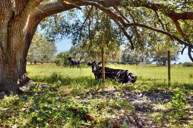 46891 FARABEE ROAD, Punta Gorda, FL 33982