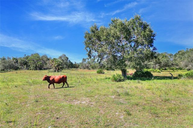 46891 FARABEE ROAD, Punta Gorda, FL 33982