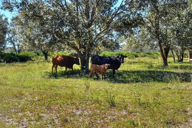 46891 FARABEE ROAD, Punta Gorda, FL 33982