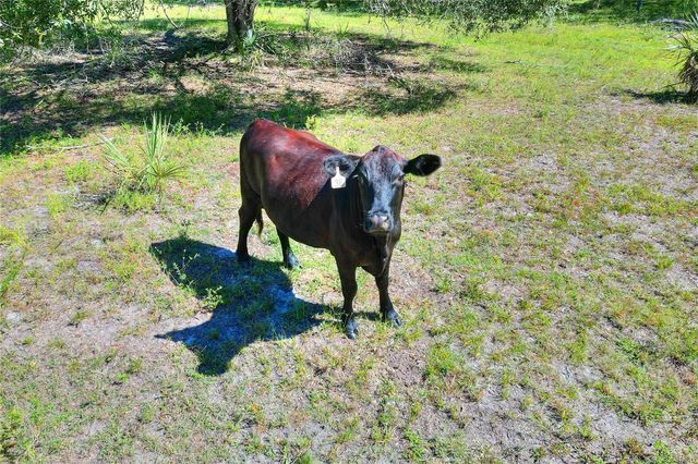 46891 FARABEE ROAD, Punta Gorda, FL 33982