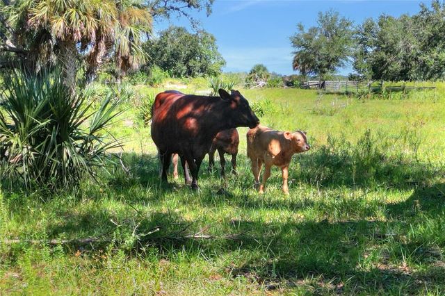 46891 FARABEE ROAD, Punta Gorda, FL 33982