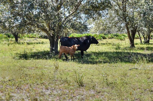 46891 FARABEE ROAD, Punta Gorda, FL 33982