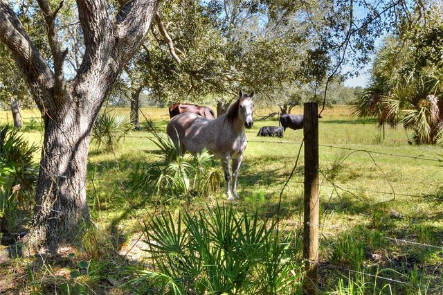 46891 FARABEE ROAD, Punta Gorda, FL 33982