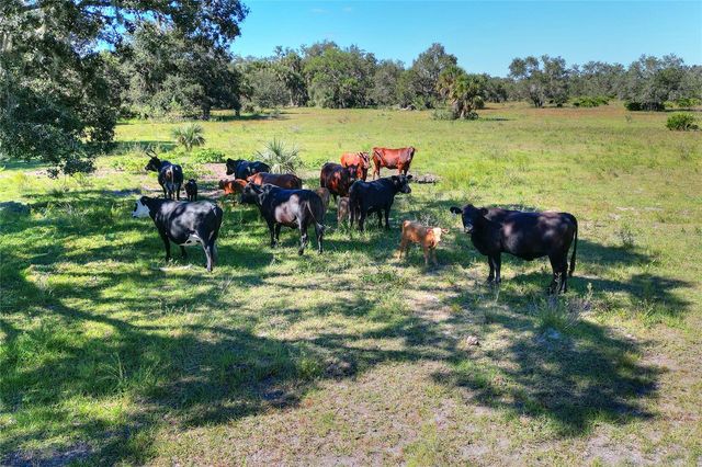 46891 FARABEE ROAD, Punta Gorda, FL 33982