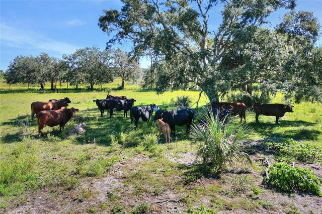 46891 FARABEE ROAD, Punta Gorda, FL 33982