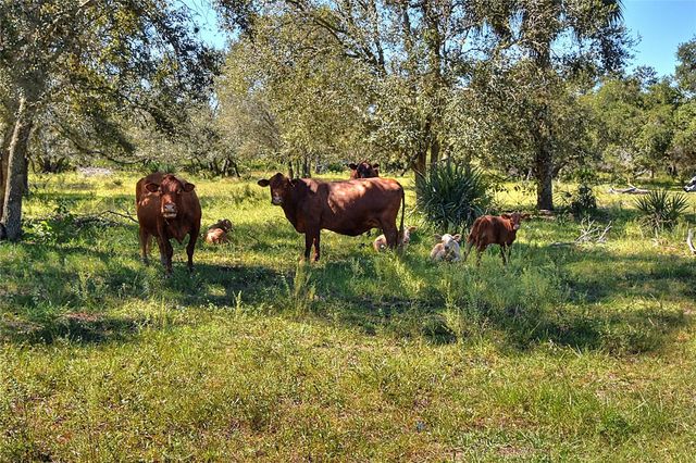 46891 FARABEE ROAD, Punta Gorda, FL 33982