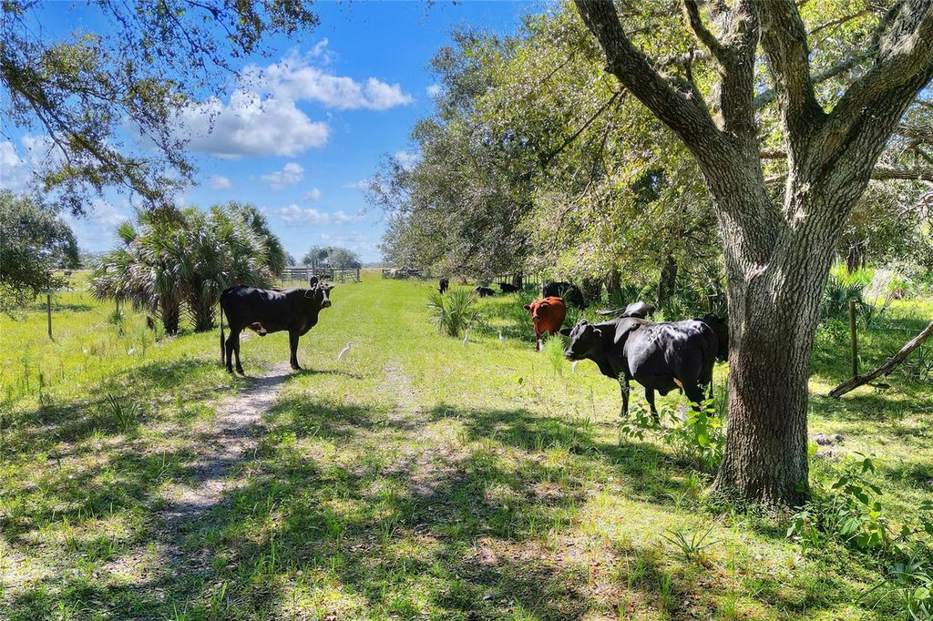 46891 FARABEE ROAD, Punta Gorda, FL 33982