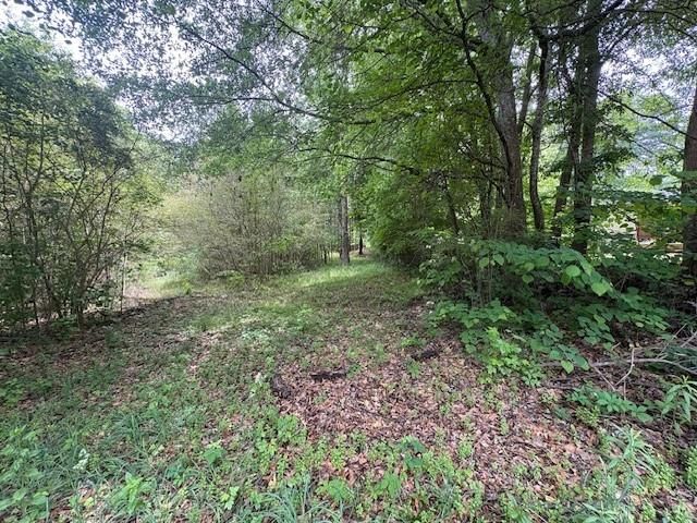 0 Burfordi Drive, Marietta, GA 30008