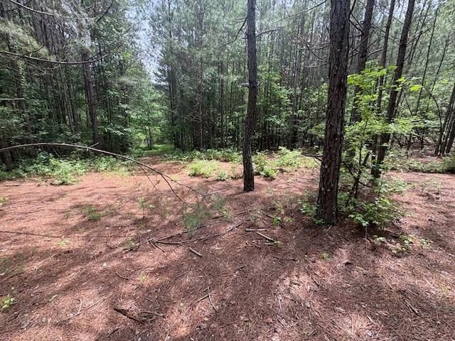 0 Burfordi Drive, Marietta, GA 30008
