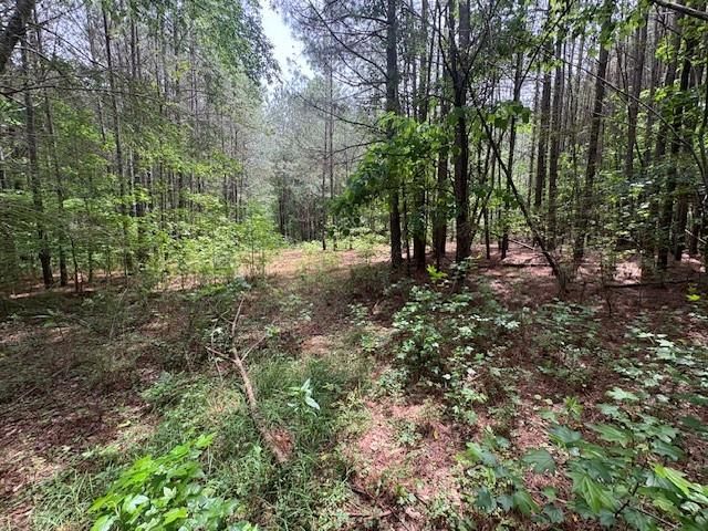 0 Burfordi Drive, Marietta, GA 30008