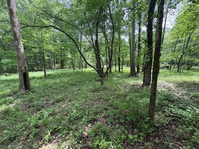 0 Burfordi Drive, Marietta, GA 30008