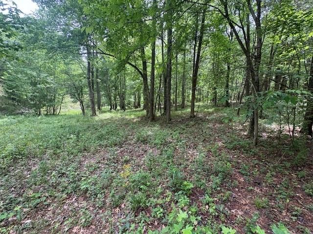 0 Burfordi Drive, Marietta, GA 30008