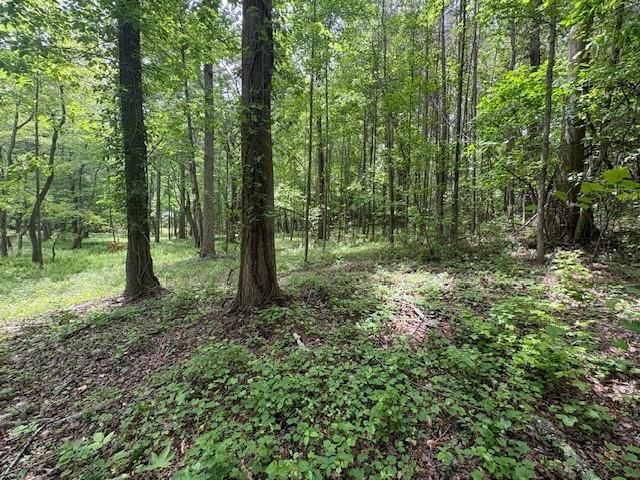 0 Burfordi Drive, Marietta, GA 30008
