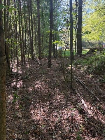 0 Burfordi Drive, Marietta, GA 30008