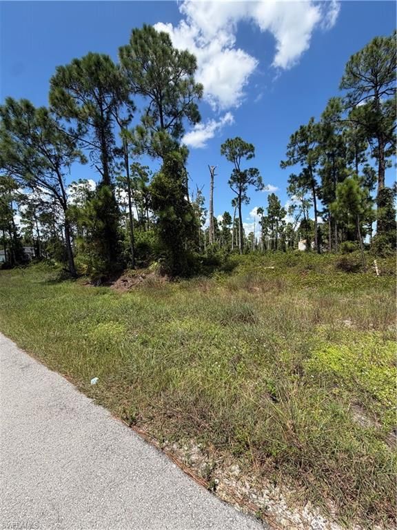 1058 Manta AVE S, LEHIGH ACRES, FL 33974 — photo 2