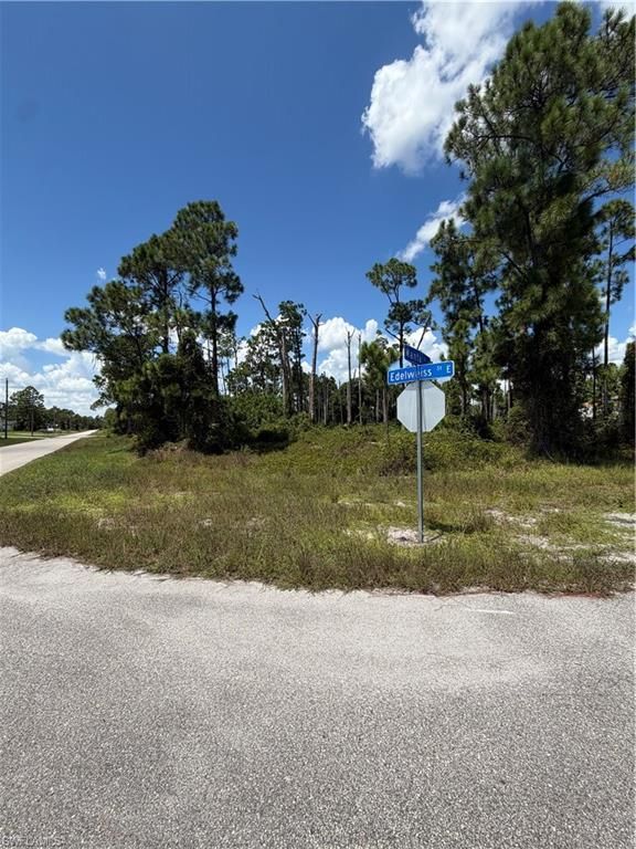 1058 Manta AVE S, LEHIGH ACRES, FL 33974 — photo 3