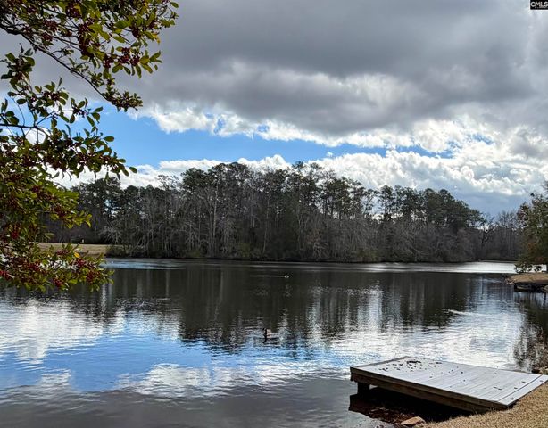74 RIDGE LAKE Drive, Columbia, SC 29209
