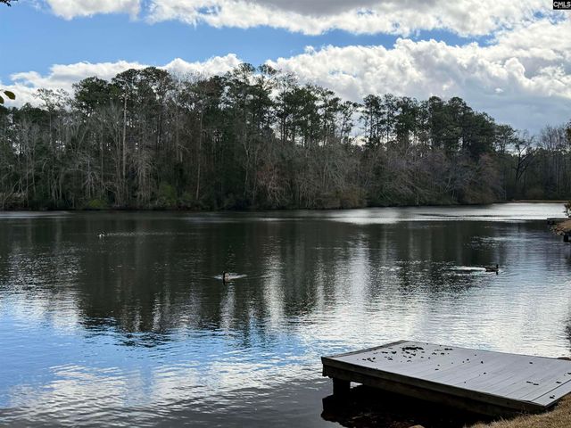 74 RIDGE LAKE Drive, Columbia, SC 29209