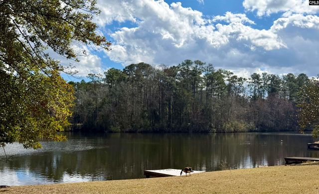 74 RIDGE LAKE Drive, Columbia, SC 29209