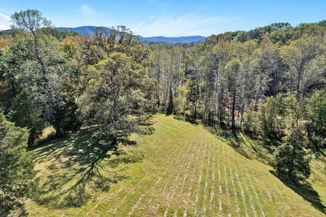 11713 Hardy RD, Hardy, VA 24101