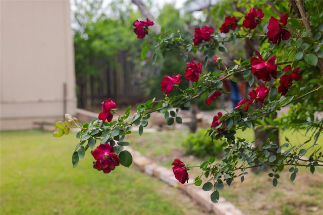 6121 Los Cielos BLVD, Del Valle, TX 78617