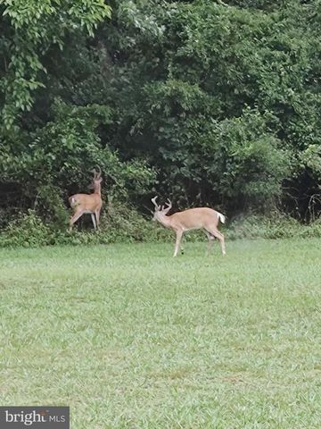 15184 JARRELL RD, Goldsboro, MD 21636