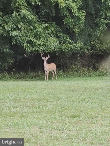 15184 JARRELL RD, Goldsboro, MD 21636