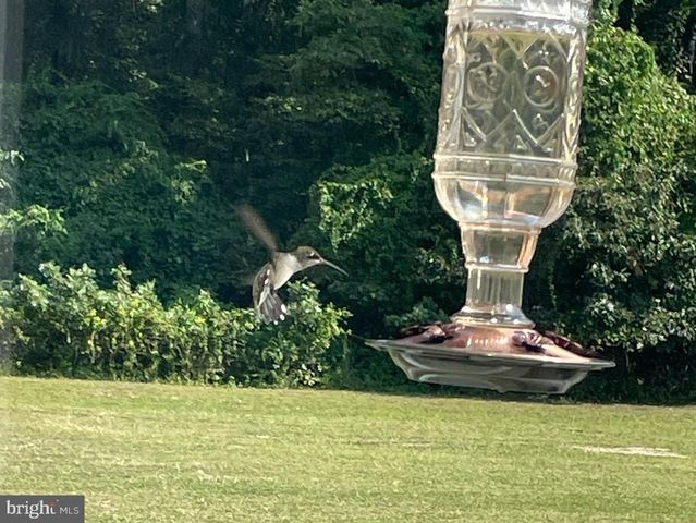 15184 JARRELL RD, Goldsboro, MD 21636