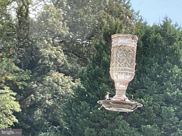 15184 JARRELL RD, Goldsboro, MD 21636