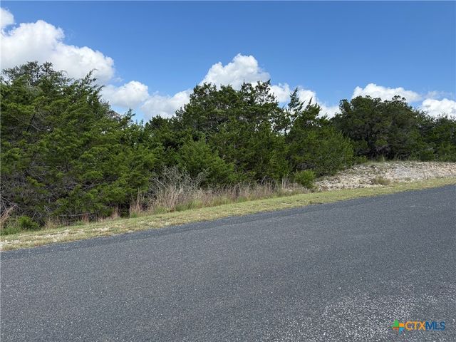 155 LIPIZZAN Lane, Spring Branch, TX 78070