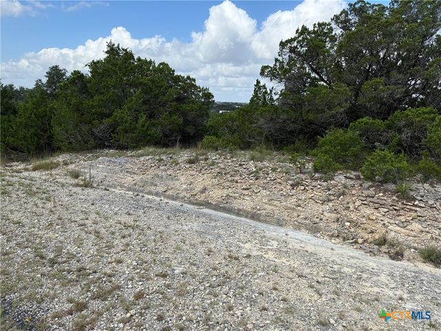 155 LIPIZZAN Lane, Spring Branch, TX 78070