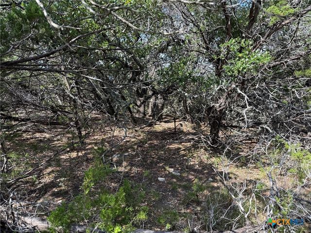 155 LIPIZZAN Lane, Spring Branch, TX 78070