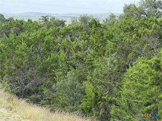 155 LIPIZZAN Lane, Spring Branch, TX 78070