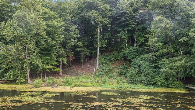 3307 Lake Drive, Allegan, MI 49010