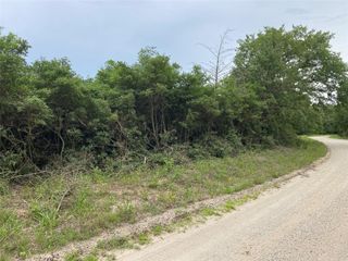 000 Green Ash Drive, Normangee, TX 77871