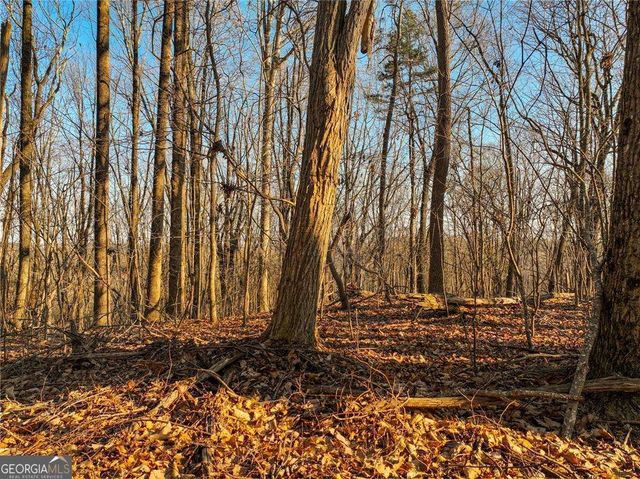LOT 4 Mount Mincie Road, Murrayville, GA 30564
