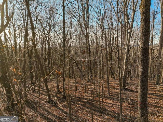 LOT 4 Mount Mincie Road, Murrayville, GA 30564