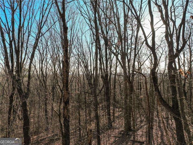LOT 4 Mount Mincie Road, Murrayville, GA 30564