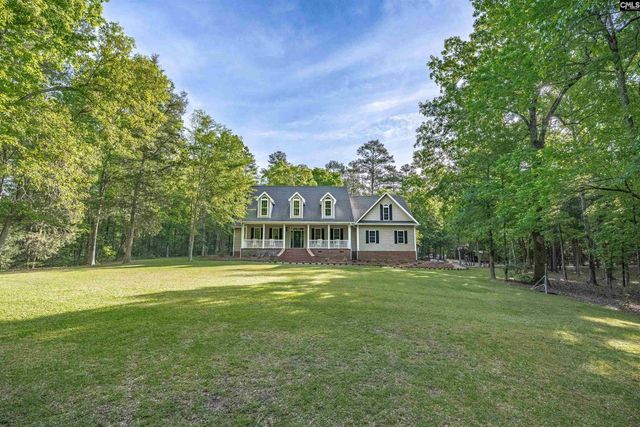 233 Mt Olivet Church Road, Chapin, SC 29036